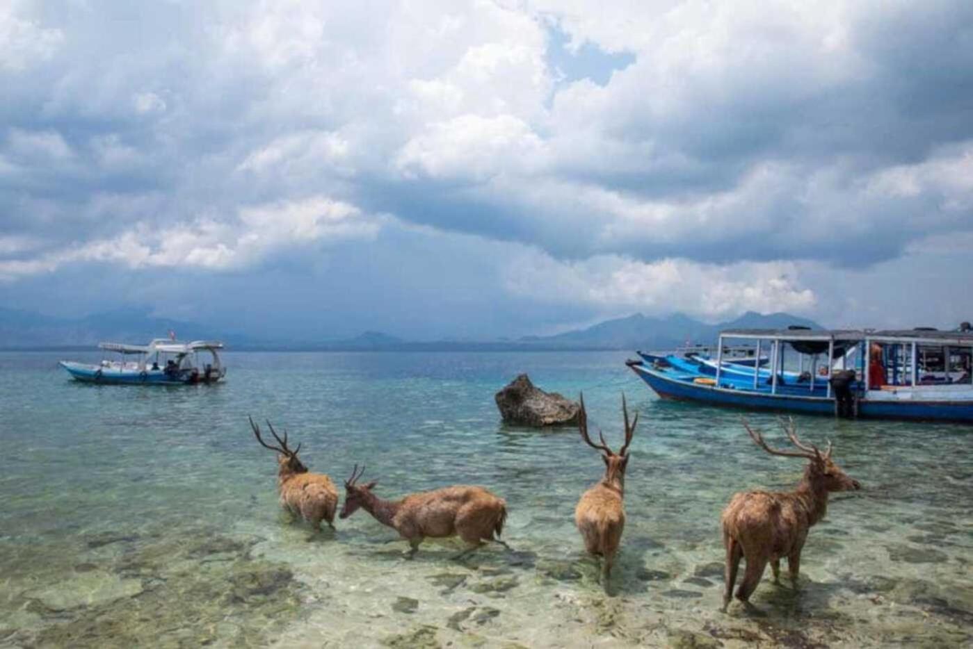 Maha Nusa Menjangan Banyuwedang Exterior photo